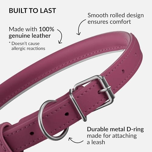 CollarDirect Rolled Leather Dog Collar, Soft Padded Round Puppy Collar, Handmade Genuine Leather Collar Dog Small Large Cat Collars (Pink Smooth, 30-35 cm) — view 2