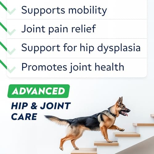 Advanced Glucosamine for Dogs w/Green Lipped Mussel, Collagen & Chondroitin - Max Strength Hip and Joint Supplement for Dogs - Joint Pain Relief - Large & Small Breed - Bacon - 120Ct
