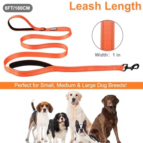 CLCKUMTU Heavy Duty Dog Leash with 2 Comfortable Padded Handles, 6FT Traffic Handle Extra Control, Highly Reflective Threads Leash for Small/Medium/Large Dogs (Orange) — view 4