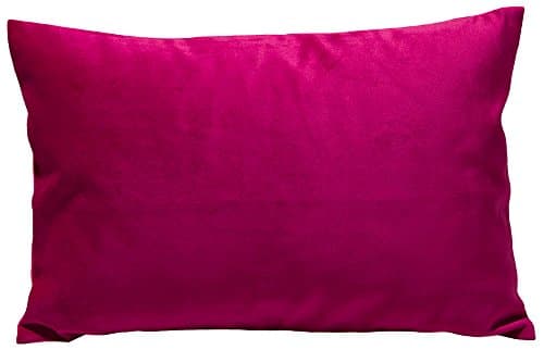 TangDepot Solid Velvet Throw Pillow Cover/Euro Sham/Cushion Sham, Super Luxury Soft Pillow Cases, Many Color & Size options,Raspberry,12" x 20"