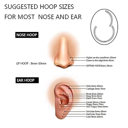 5pcs Hypoallergenic Nose Rings 20G 18G 16G 316L Surgical Steel Earrings Tragus Septum Piercing Nose Hoop Lip Rings Helix Cartilage Rook Earrings for Women Men 6/7/8/9/10mm (5PCS 20G Silver) — view 2