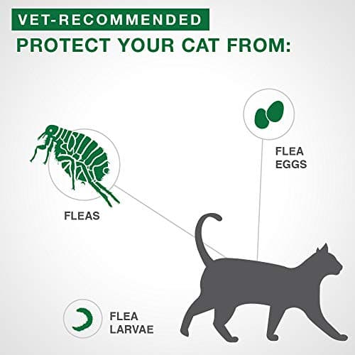 Advantage II Flea Treatment for Small Cats weighing between 2.3 kg to 4 kg (5 lbs. to 9 lbs.)-2 doses — view 2