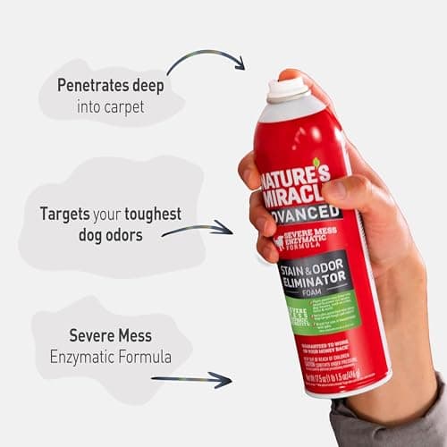 Nature's Miracle Advanced Stain and Odor Eliminator Dog for Severe Dog Messes — view 5