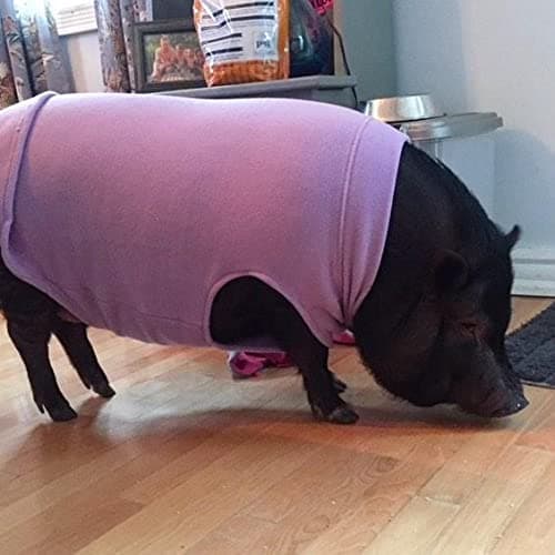 Gooby - Stretch Fleece Vest, Pullover Fleece Vest Jacket Sweater for Dogs, Indigo Blue, X-Large — view 6