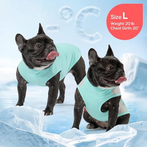 KYEESE 2Pack Dog Cooling Shirt with UPF 50+ UV Protection, Blue, XL — view 5