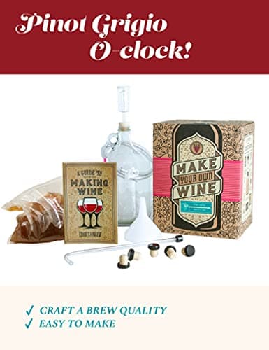 Craft A Brew Making Home Kit – Easy Brew Beginners with Ingredients and Supplies – Ultimate Wine Brewer Experience, 1 Gallon, Pinot Grigio