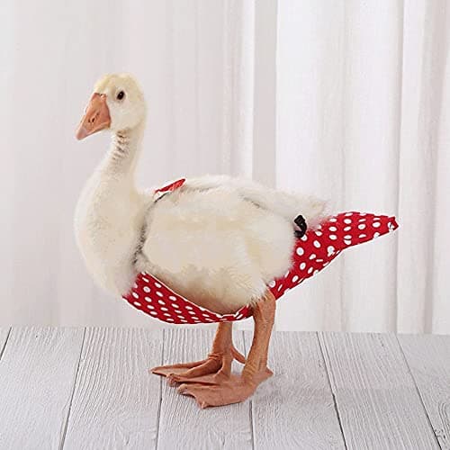 Chicken Duck Goose Diaper Washable Pet Bow Tie Diapers for Hens Roosters Poultry 1 Pack (M, Green) — view 5