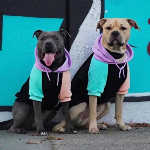 Spark Paws Dog Hoodie – Premium Dog Sweater for Small, Medium, and Large Dogs | Warm Outfits for French Bulldogs, Pitbull, Puppy, Winter Jacket Alternative - Cyber Punk - L — view 2