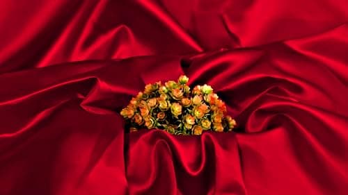 MDS Satin Fabric 5 Yards, 44" Wide, Silky Smooth Charmeuse Sateen Cloth for Wedding Arch Drapery Panel Backdrop Party Event Banquet Home Decoration Curtain Crafts DIY Sewing Costume - Apple Red — view 3