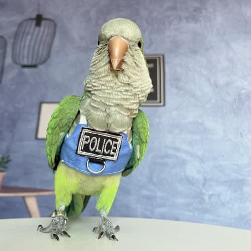 Barn Eleven Bird Flight Harness Vest, Parrot Flight Suit with Leash, Bird Flying Clothes with Rope and Handle for Outdoor Activities (with Leash,Sun Conure) — view 4