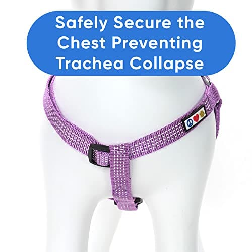Pawtitas Reflective Step-in Dog Harness – Adjustable No-Pull Vest for Puppies to Seniors, Safe & Comfortable, S Orchid — view 7