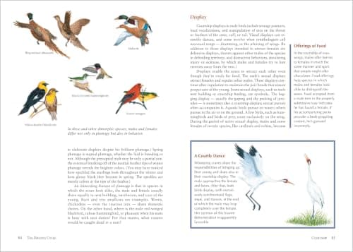 The Backyard Bird-Lover's Guide: Attracting, Nesting, Feeding — view 2