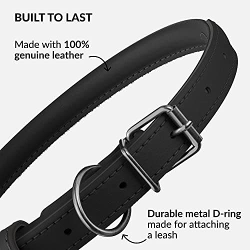 CollarDirect Rolled Leather Dog Collar, Soft Padded Round Puppy Collar, Handmade Genuine Leather Collar Dog Small Large Cat Collars (Black Smooth, 48-53 cm) — view 2
