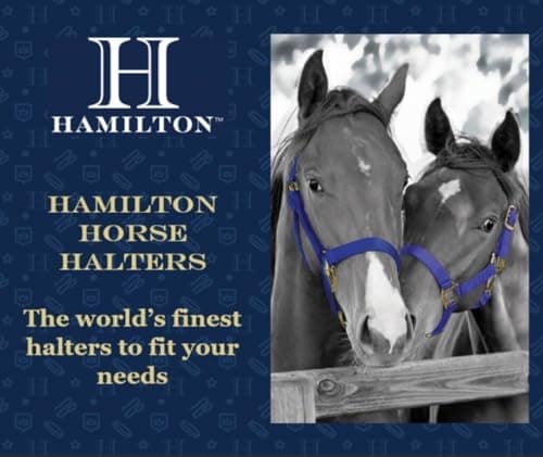 Hamilton 1DAS AVNV 1-Inch Nylon Halter with Adjustable Chin, Navy Blue - Average Size, 800-1100-Pounds — view 5