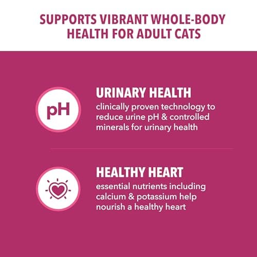 IAMS Proactive Health Dry Cat Food, Urinary Tract Health, Adult Cat Food Dry Recipe with Chicken, 3.5 lb. Bag
