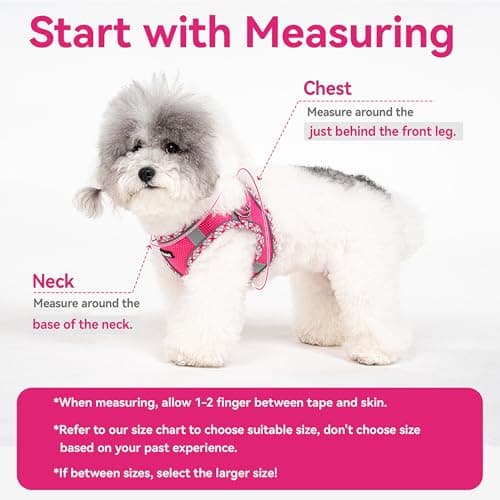 Petank Dog Harness for Small Medium Dogs No Pull, Puppy Harness and Leash Set for Walking, Running, Training, Small Dog Harness, Medium Dog Harness (Rose Red, XXS) — view 4