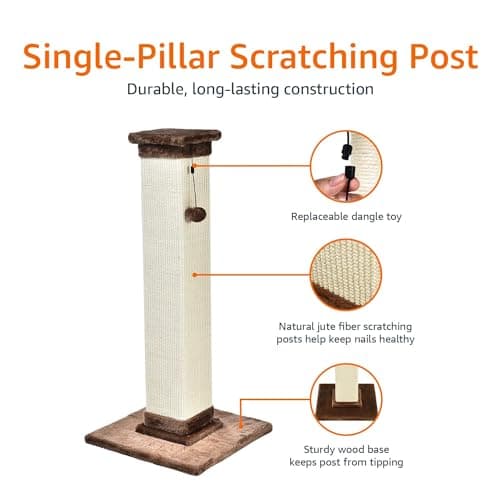Amazon Basics Cat Scratcher - Indoor Classic Single Cat & Kittens Scratching Post with Sisal Rope, Large (35.4"H) - Brown