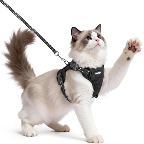 rabbitgoo Cat Harness and Leash, Easy-on with Neck Buckle, Black