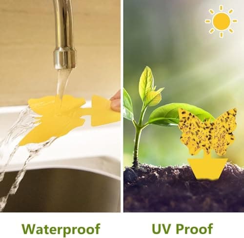 Fruit Fly Traps Fungus Gnat Traps Yellow Sticky Bug Traps 40 Pack No Harm and Odorless for Indoor Outdoor Use Protect The Plant