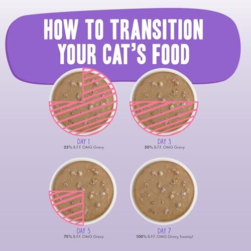 Weruva B.F.F. OMG - Best Feline Friend Oh My Gravy!, Booya! Beef & Chicken in Gravy Cat Food, 2.8oz Pouch (Pack of 12) — view 7