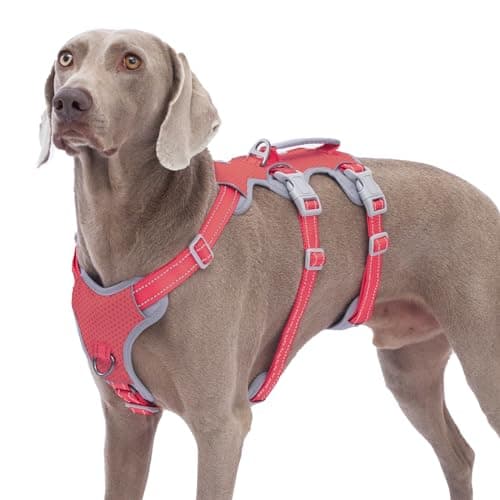 Huntboo Escape Proof Dog Harness, No Pull Reflective Harness with Lift Handle, Adjustable Pet Vest with Front and Back Leash Clips for Small Medium Large Dogs Walking Hiking Training (Red,L)