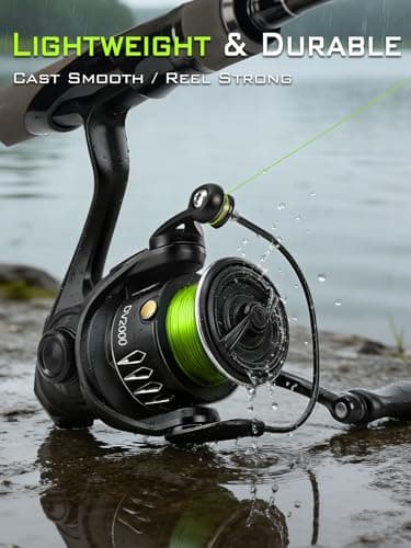 DV2000 Spinning Reel - 5.2:1 Gear Ratio, 5+1 Stainless Steel Bearings, 9LBS Max Drag, Lightweight Carbon Fiber Frame for Freshwater Fishing (5.64oz)