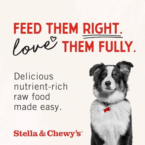 Stella & Chewy's Freeze-Dried Raw Beef Heart Dog Treats - Single Ingredient, No Additives - Premium Training Treats - Perfect For Picky Eaters - 3oz Bag — view 8