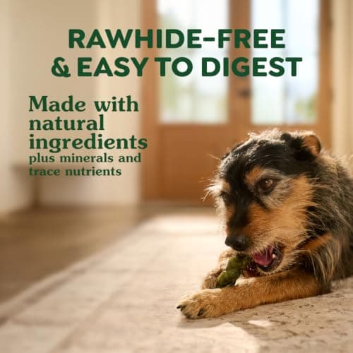 Greenies Occupy Twists Natural Dog Treats Regular Breed Size Chicken Flavor, 8.65 oz. Pack, 6 Count — view 4