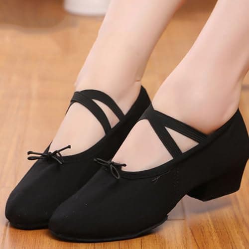 Women Latin Dance Shoes Canvas Ballroom Character Teacher Shoe Chunky Low Heel Comfy Dancing Loafers（Black，9)