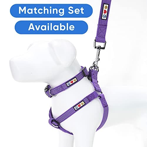 Pawtitas Small Reflective Adjustable Puppy Collar - Purple, Matching Leash and Harness Available — view 5
