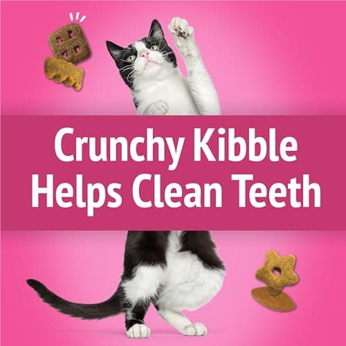 Purina Friskies Party Mix California Crunch with Chicken and Flavors of Turkey and Bacon Cat Treats - 30 oz Canister — view 4