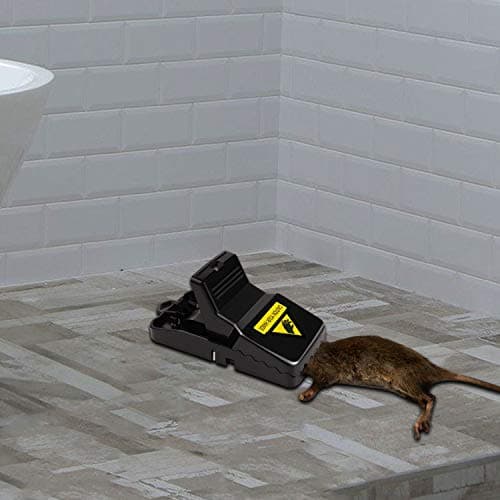 Mouse Traps 8 Pack - Humane Instant Catch Reusable Indoor/Outdoor Snap Traps for Small Mice, Safe & Effective Rodent Catcher with Easy Clean Design (Kids & Pets Friendly) — view 6