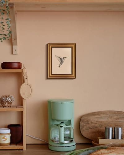 VIYYIEA Vintage Gold Framed Wall Art, Sketch Birds Canvas Painting, Cute but Exquisite Wall Decor, No Glass No Glare, Suitable for Bedside Tables, Foyer, Bookshelves,【Hummingbird】-10L x 8W — view 5