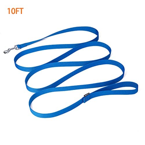 Siumouhoi Strong Durable Nylon Dog Training Leash, 1 Inch Wide Traction Rope, 6 ft 10ft 15ft Long, for Small and Medium Dog (Blue, 10 Feet) — view 4