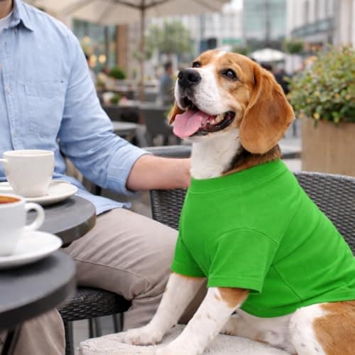 Lovelonglong Pet Clothing Dog Costumes Basic Blank T-Shirt Tee Shirts for Medium Small Dogs Green XL — view 7