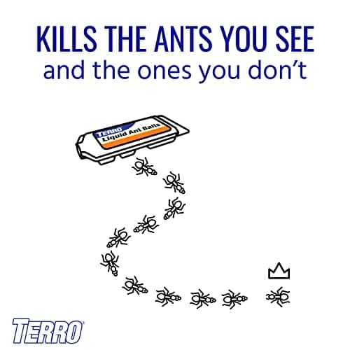 TERRO Liquid Ant Bait Stations T300CAN - Liquid Bait to Eliminate Ants - Bait System - 6 Count Stations for Effective Indoor Ant Control — view 8