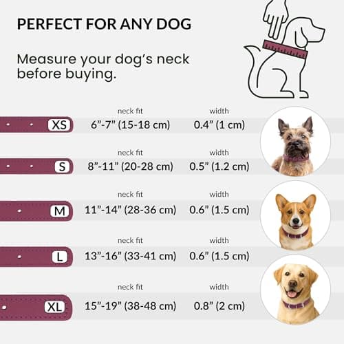 CollarDirect Rolled Leather Dog Collar, Soft Padded Round Puppy Collar, Handmade Genuine Leather Collar Dog Small Large Cat Collars (Pink Smooth, 30-35 cm) — view 4