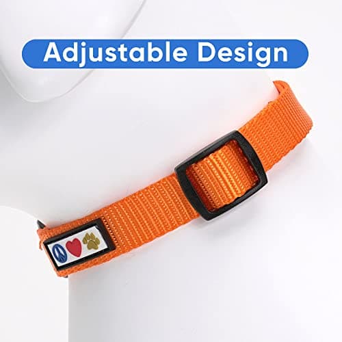Pawtitas Dog Collar Extra Small Solid Color Dog Collar Adjustable Puppy Collar Orange Dog Collar Matching Dog Leash and Dog Harness Available — view 3