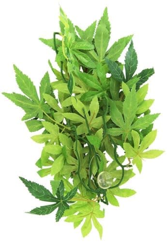 Exo Terra Silk Plant - Abutilon - Medium