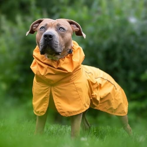 Spark Paws Dog Raincoat, Waterproof Windproof Rain Jacket, for Small Medium Large Extra Large Dogs, Reflective Breathable Full-Body Coverage Dry Suit - Mustard Yellow - 2XL — view 4
