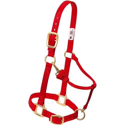 Weaver Leather Original Adjustable Chin and Throat Snap Halter M. Diva Pink — view 4