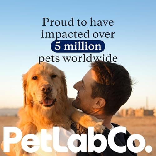 PetLab Co. Probiotics for Dogs - Support Gut Health, Itchy Skin, Seasonal Allergies, and Yeast with Each Tasty Chew - Dog Probiotics - Safe for Small, Medium and Large Dogs - Packaging May Vary — view 7