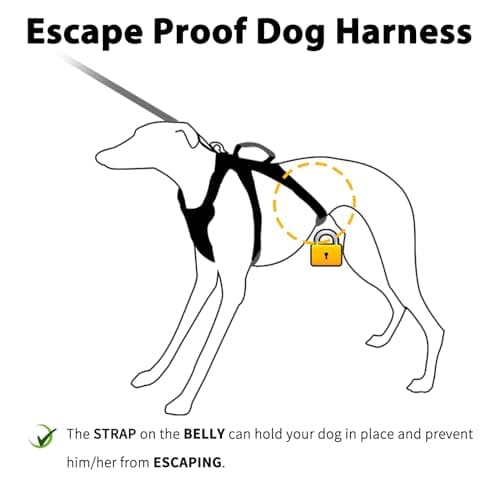 Huntboo Escape Proof Dog Harness, No Pull Reflective Harness with Lift Handle, Adjustable Pet Vest with Front and Back Leash Clips for Small Medium Large Dogs Walking Hiking Training (Red,L) — view 2