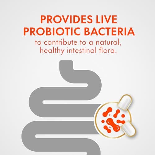 Align Probiotic Digestive Support, IBS Symptom Relief: Gas, Abdominal Discomfort, Bloating, Helps Healthy Intestinal Flora for Women & Men, 42 Capsules — view 2