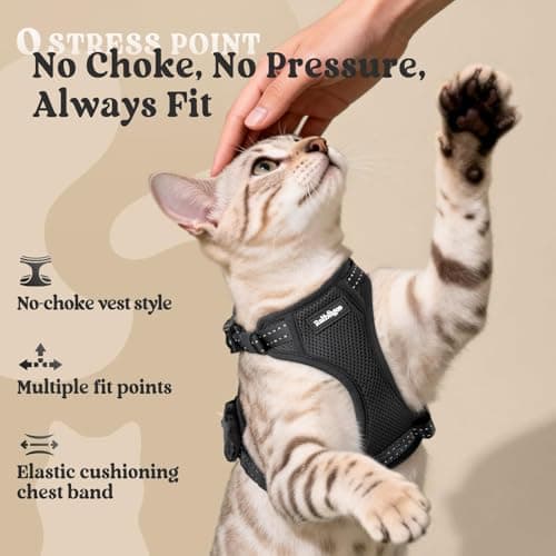 rabbitgoo Cat Harness and Leash, Easy-on with Neck Buckle, Black — view 7