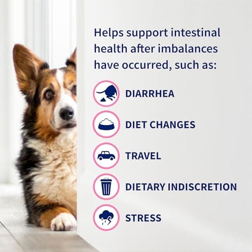 Nutramax Proviable Probiotics for Dogs and Cats, Daily Digestive Health Supplement with Multiple Strains of Bacteria, Cat and Dog Probiotics Plus Prebiotics, 30 Capsules — view 7