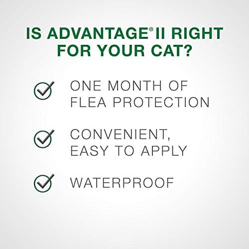 Advantage II Flea Treatment for Small Cats weighing between 2.3 kg to 4 kg (5 lbs. to 9 lbs.)-2 doses — view 5