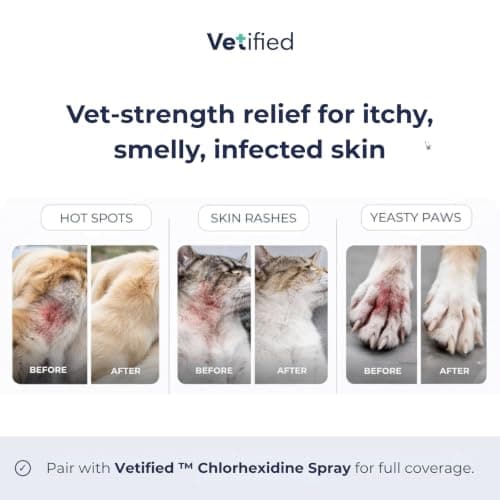 VETIFIED Chlorhexidine Shampoo 16 fl oz - NDC: 86247-002-16 — view 3