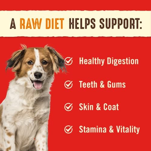 Stella & Chewy’s Freeze Dried Raw Dinner Patties – Grain Free Dog Food, Protein Rich Stella’s Super Beef Recipe – 708g Bag — view 3