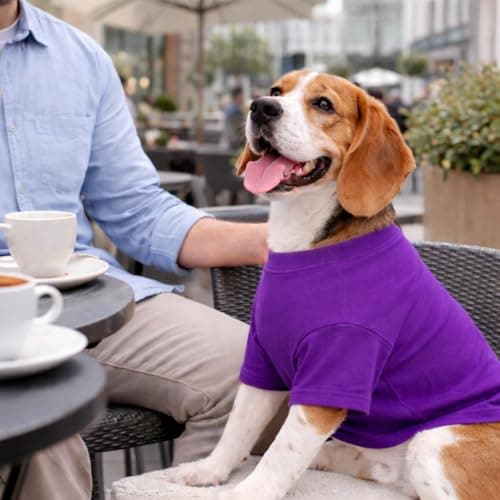 Lovelonglong Pet Clothing Dog Costumes Basic Blank T-Shirt Tee Shirts for Small Dogs Purple XS — view 7